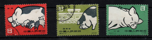Cina 1960 suini - suini, da